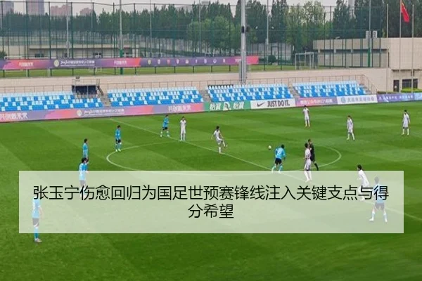 张玉宁伤愈回归为国足世预赛锋线注入关键支点与得分希望